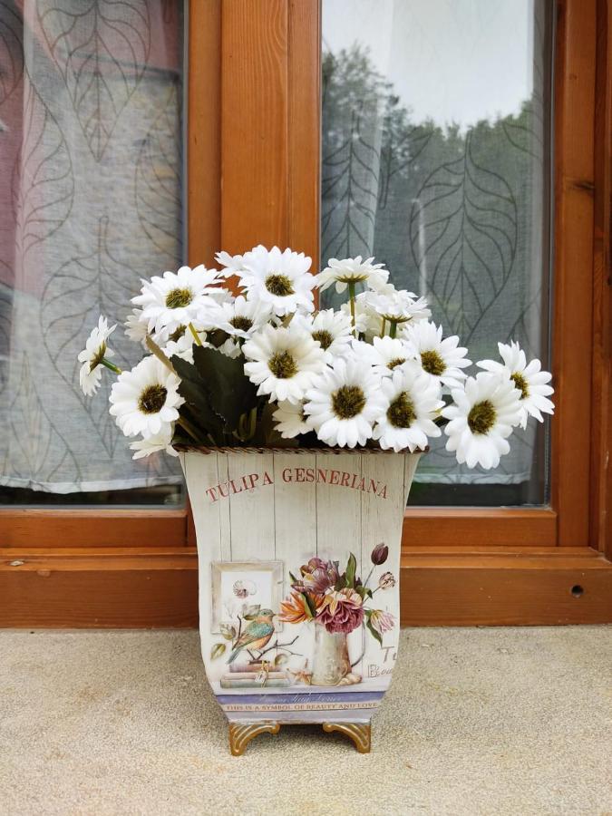 Aromas De Corain Villa Onís Dış mekan fotoğraf